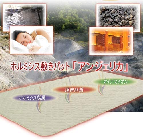Amazon｜(2枚セット) 安心のメーカー正規品 ホルミシス敷きパット